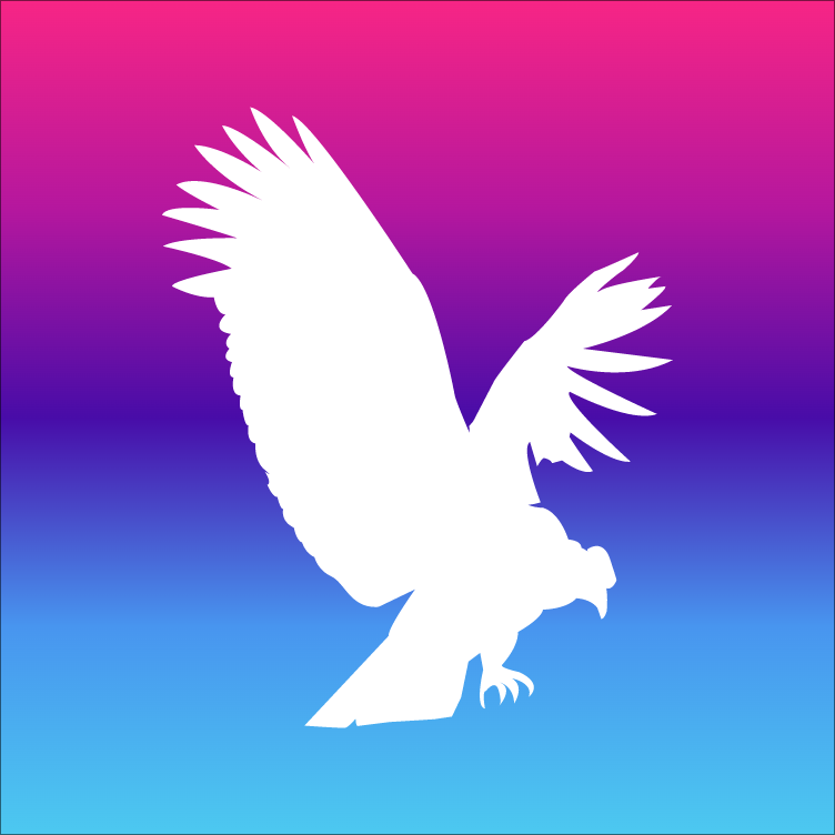 Condor Systems