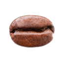 The Bean DAO