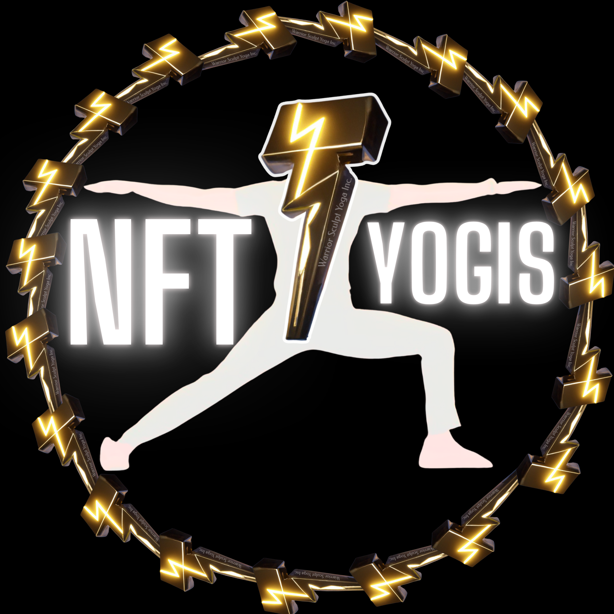 Video Training Collectibles