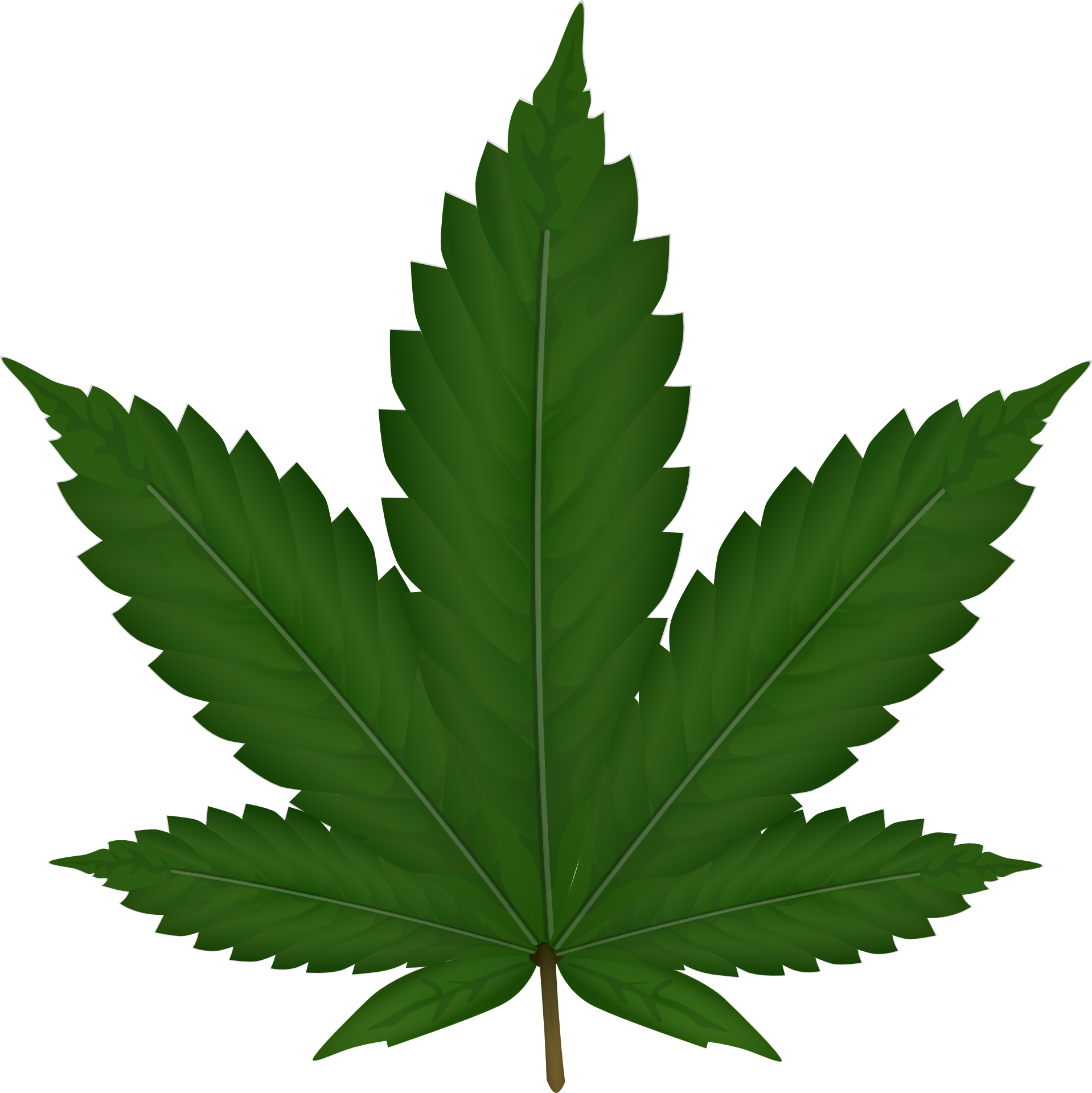 MetaDao