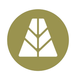 Hold at least 1 AUSD on Mantle